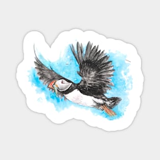 Atlantic Puffin in Flight Magnet