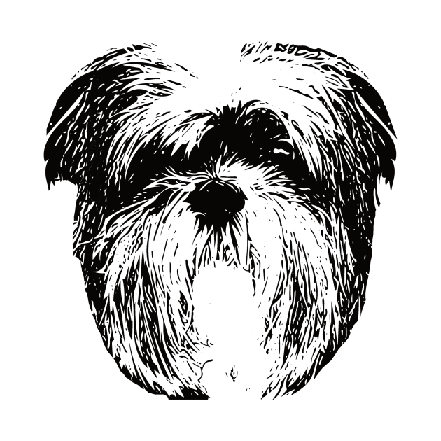 Shih Tzu Tzus by DoggyStyles