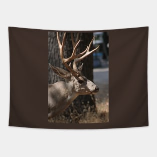 Black-Tailed Deer Tapestry