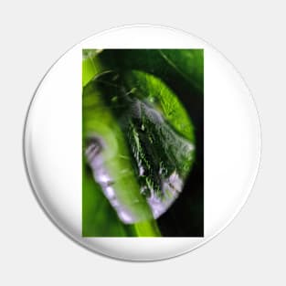 Dew Drop Pin