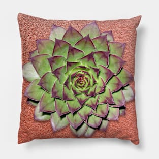 Flowers Art Pillow