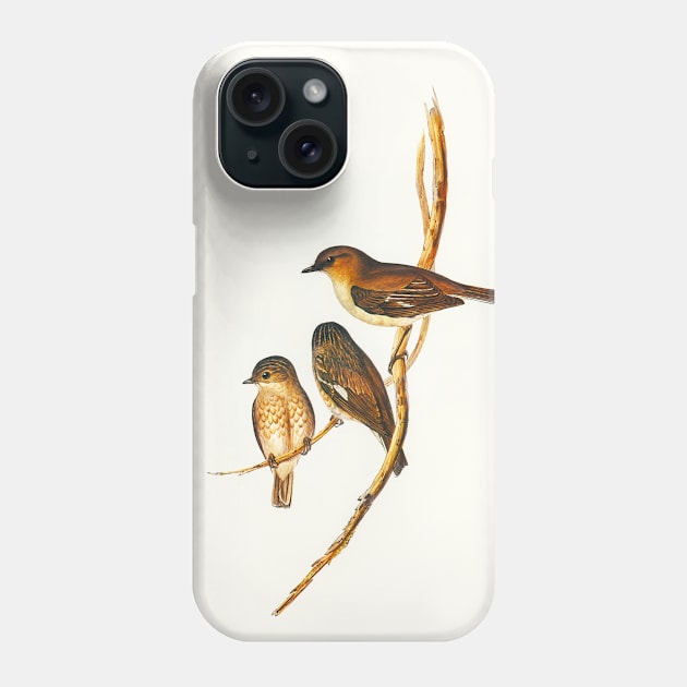 Dusky Robin (Petroica fusca) Phone Case by WAITE-SMITH VINTAGE ART