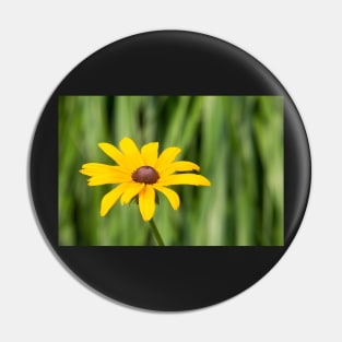 Black Eyed Susan Pin