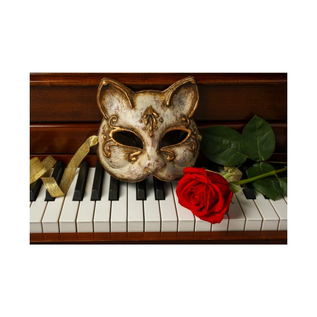 Cat Mask And Red Rose by photogarry