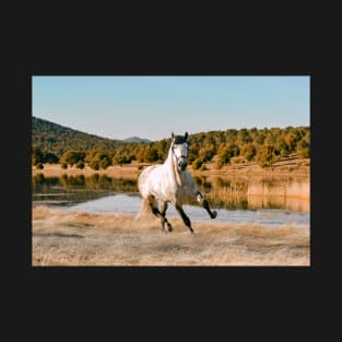 White Horse Running T-Shirt