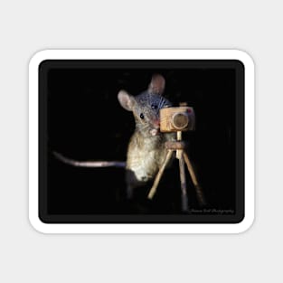 Photographer mouse Magnet