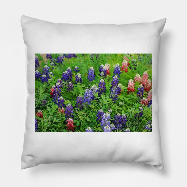 Field of Multicolored Bluebonnets Pillow by elisewied