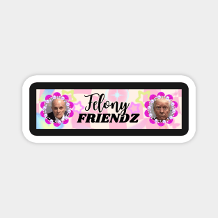 Felony Friendz Bumper Sticker Magnet