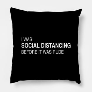 I was social distancing Pillow