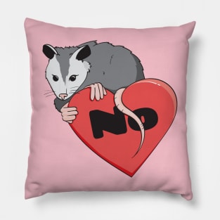 Possum Says No Pillow