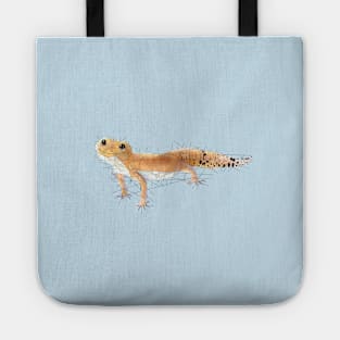 Geckos Tote