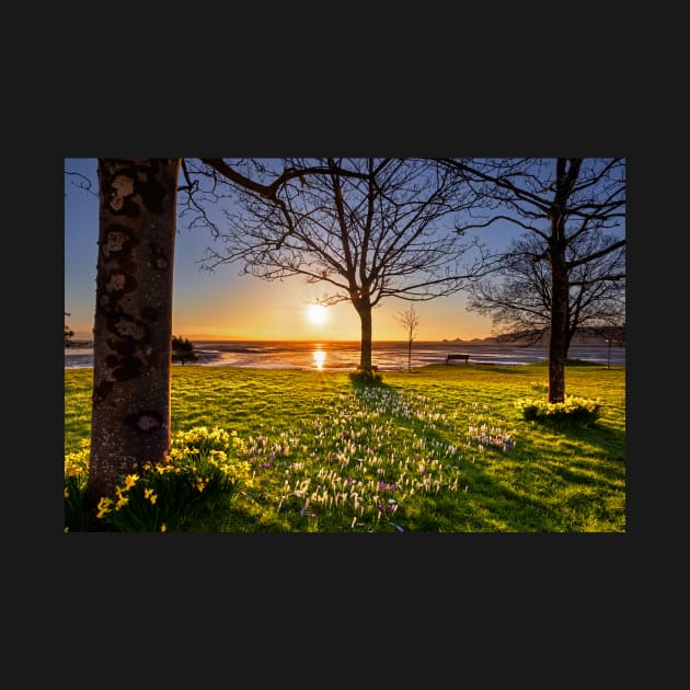 Mumbles from West Cross, Swansea by dasantillo