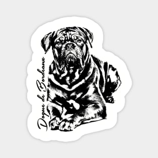 Dogue de Bordeaux - French Mastiff Magnet