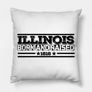 illinois Pillow