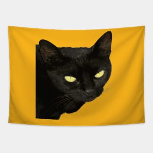 Black Cat With Beautiful Yellow Eyes Vector Art Cut Out Tapestry