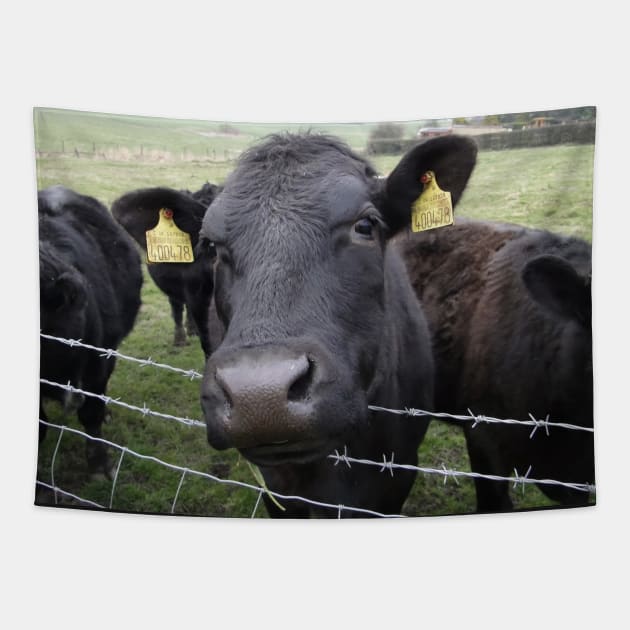 Here's Looking At Moo, Kid Tapestry by AH64D