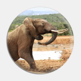 African Wildlife Photography Elephant Rising Pin