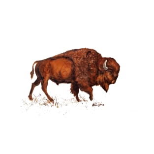 Brown Buffalo Bison T-Shirt