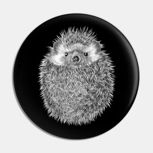 Hedgehog Pin