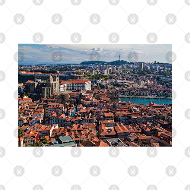 Portugal. Porto. View at the Cathedral from Clerigos Tower. by vadim19