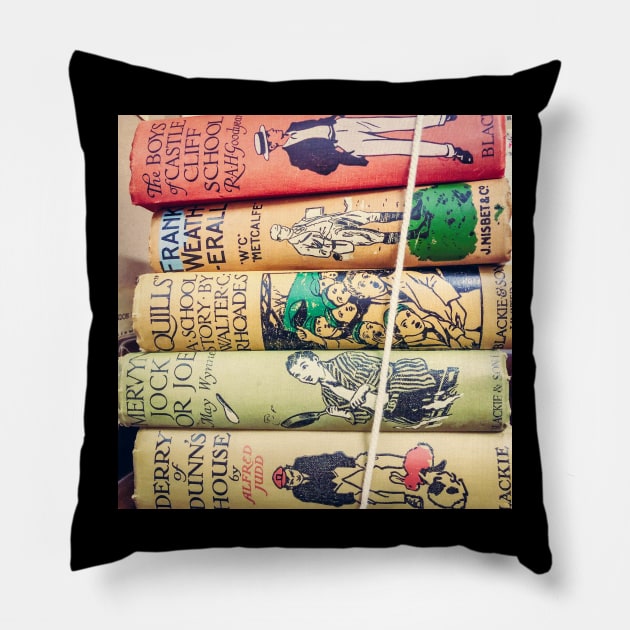 Book Bundle Pillow by Debra Cox 