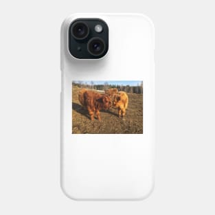 Scottish Highland Cattle Calves 1978 Phone Case