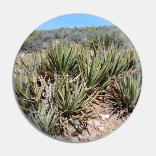 Desert Plant Pin