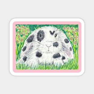 Bunny rabbit Magnet