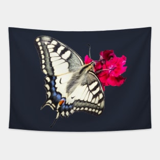 Gift idea butterfly swallowtail Tapestry