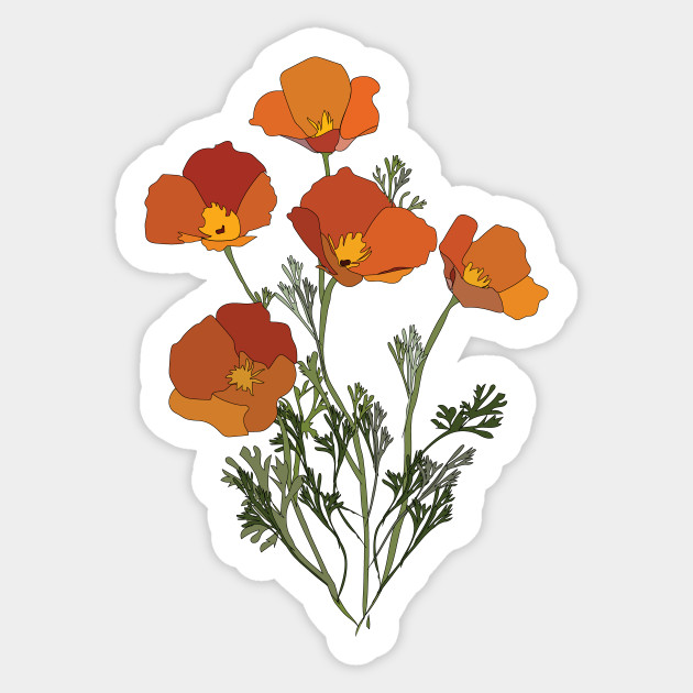 California Poppies Poppy Flower Sticker Teepublic