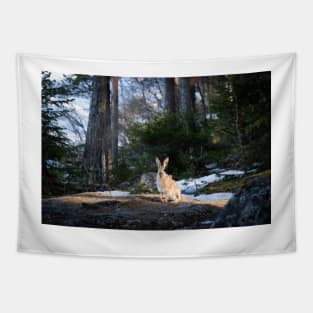 Lepus europaeus in the forest Tapestry