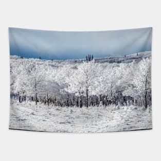 Extreme Cold. Tapestry