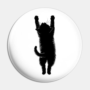 Hanging Cat Pin