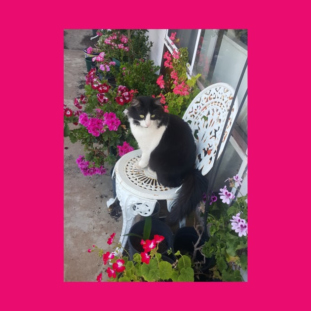 Tuxedo Cat Cute and Beautiful Flowers by SarahRajkotwala