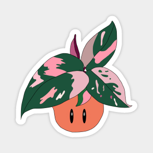 Pink Princess Philodendron Magnet