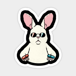 Follow The White Rabbit Pocket by Tobe Fonseca Magnet