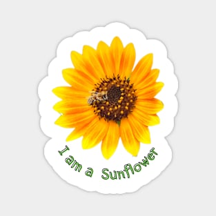 I am a sunflower Magnet