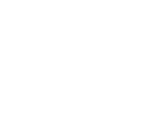 EBT Training Bull Terrier Dog Tricks Magnet