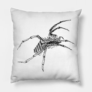Spider drawing Pillow