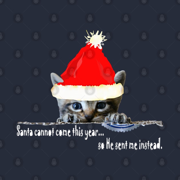 Funny Christmas Cat meme by PlanetMonkey