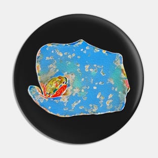 Portrait of a Mediterranean Frog Prince Pin