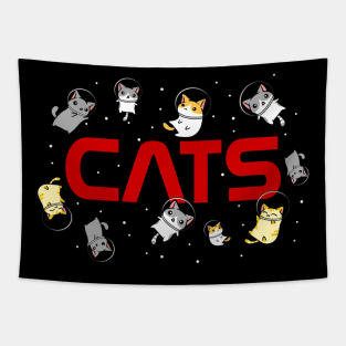 Funny Space Astronaut Cat Gifts Men Women Kids Cats Space Tapestry