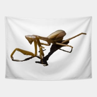 mantis Tapestry