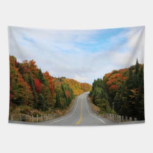 Highway through Algonquin Provincial Park, Ontario, Canada Tapestry