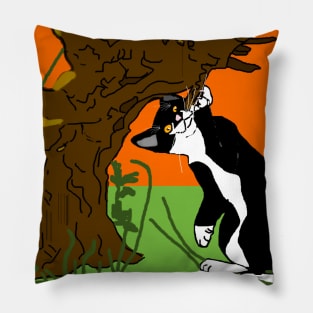 Cute Tuxedo Cat playing in the garden  Copyright TeAnne Pillow