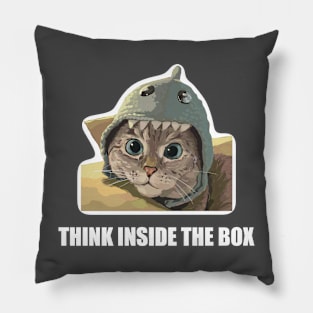 Think inside the box Pillow