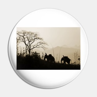 Asian Elephants Trekking In The Jungle Photograph Pin