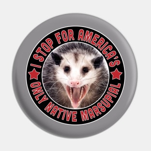 CRITTERS Pin