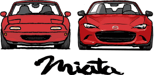 Miata Evolution Magnet