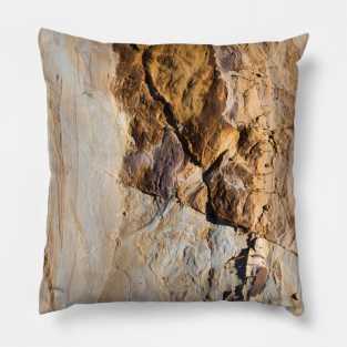 Rock beach stone Pillow